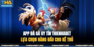 App Đá Gà Uy Tín THIENHABET - Lựa Chọn Hàng Đầu Cho Kê Thủ 1 app đá gà uy tín THIENHABET