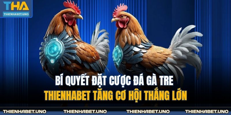 Bí quyết đặt cược đá gà tre THIENHABET tăng cơ hội thắng lớn