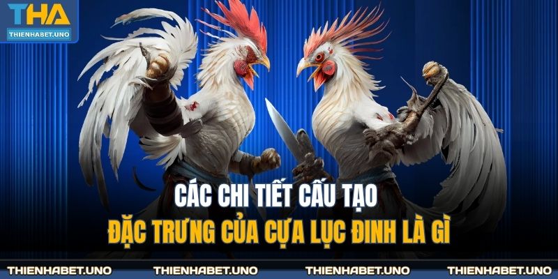Cựa Lục Đinh Là Gì - Giải Mã Thuật Ngữ Tại THIENHABET 3 Các chi tiết cấu tạo đặc trưng của cựa lục đinh là gì