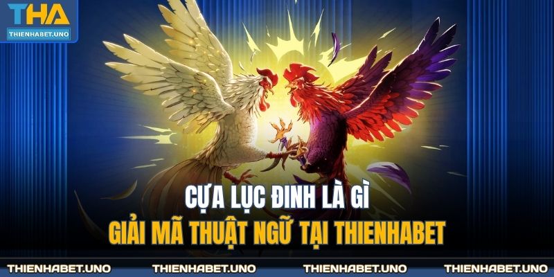 Cựa Lục Đinh Là Gì - Giải Mã Thuật Ngữ Tại THIENHABET 1 cựa lục đinh là gì