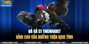 Đá Gà C1 THIENHABET - Đỉnh Cao Của Những Trận Kịch Tính 2 đá gà C1