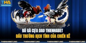 Đá Gà Cựa Dao THIENHABET - Đấu Trường Kịch Tính Của Chiến Kê 5 đá gà cựa dao