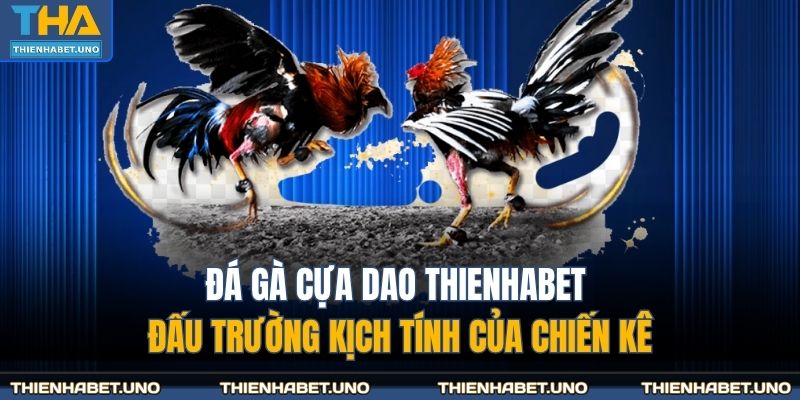 đá gà cựa dao