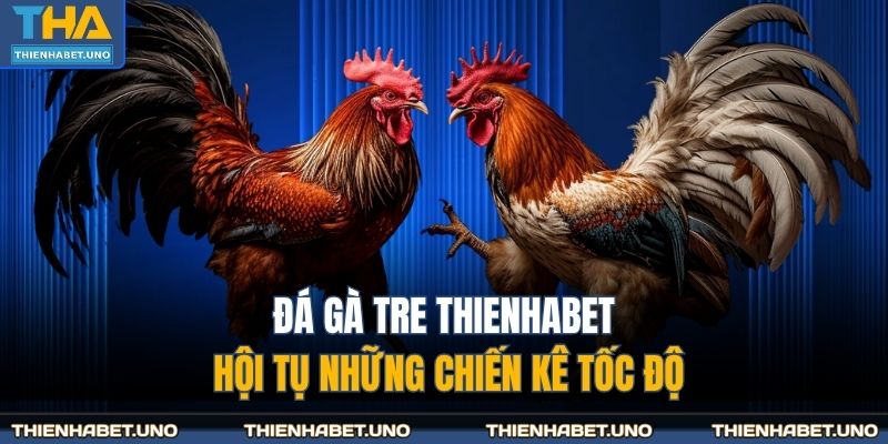 đá gà tre THIENHABET