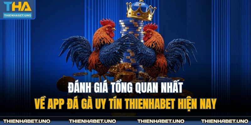 Đánh giá tổng quan nhất về app đá gà uy tín THIENHABET hiện nay