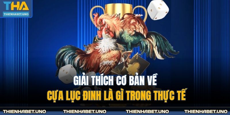 Cựa Lục Đinh Là Gì - Giải Mã Thuật Ngữ Tại THIENHABET 2 Giải thích cơ bản về cựa lục đinh là gì trong thực tế
