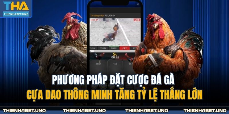 Phương pháp đặt cược đá gà cựa dao thông minh tăng tỷ lệ thắng lớn