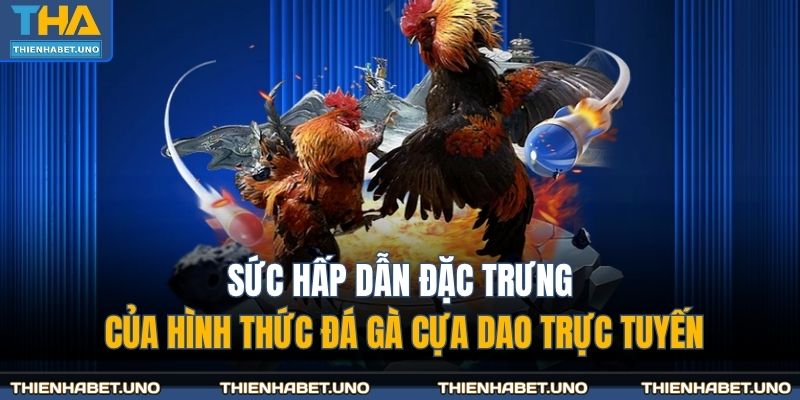 Sức hấp dẫn đặc trưng của hình thức đá gà cựa dao trực tuyến