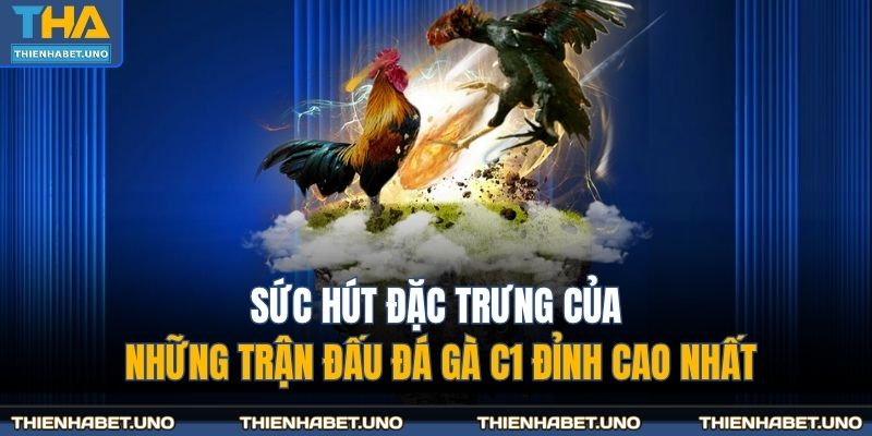 Đá Gà C1 THIENHABET - Đỉnh Cao Của Những Trận Kịch Tính 2 Sức hút đặc trưng của những trận đấu đá gà C1 đỉnh cao nhất