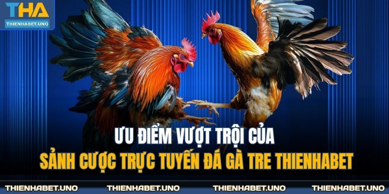 Ưu điểm vượt trội của sảnh cược trực tuyến đá gà tre THIENHABET